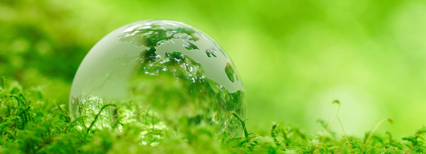 Developing and Achieving Green Goals